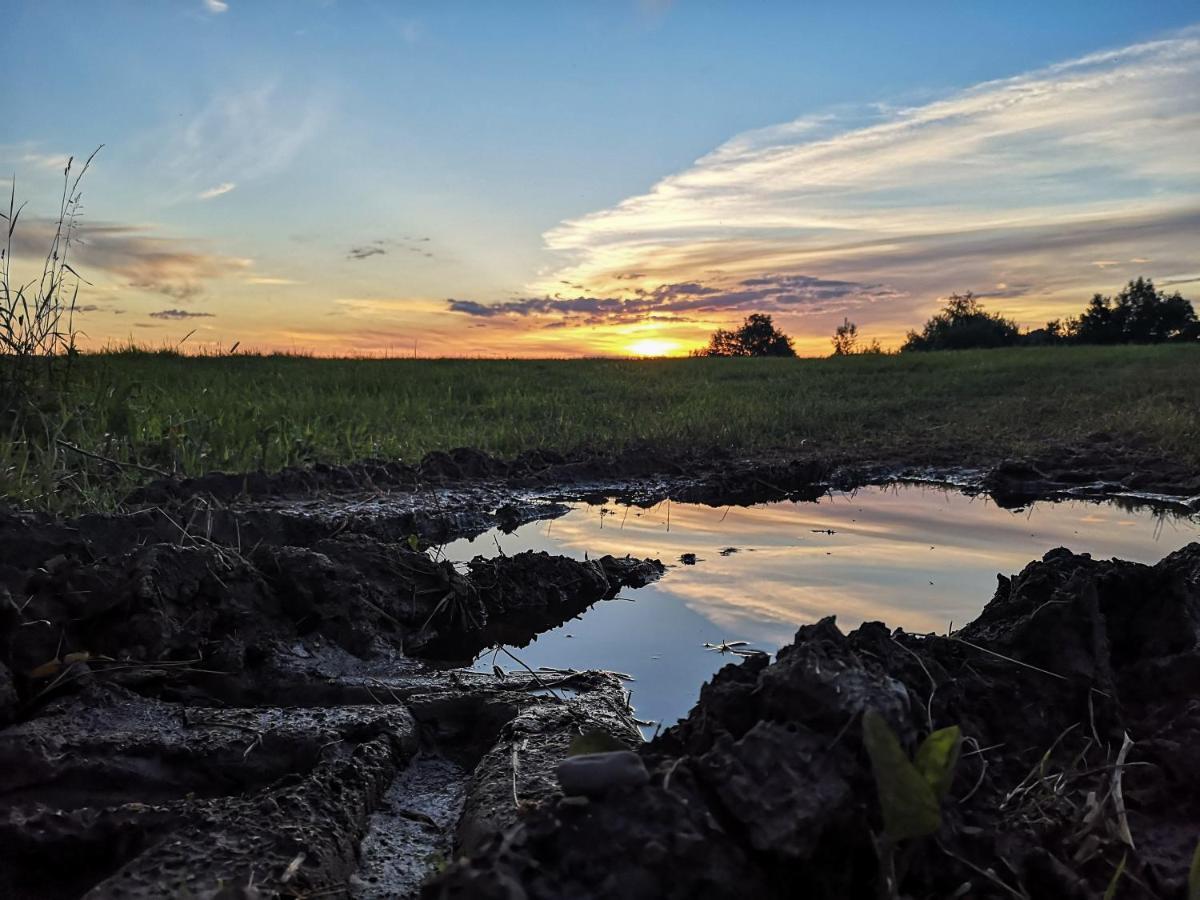 Гостевой дом Zacisze Drwala Лютовиска Экстерьер фото